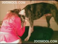 Bestiality Porn - She drilled by dog on Christmas Day